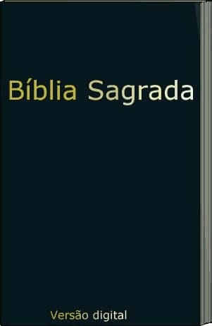 Cubierta oscura de la Biblia digital, con título dorado y franja clara en el lomo.