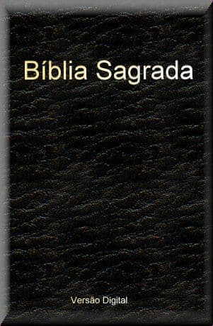 Cubierta oscura con textura de cuero e inscripción Biblia Sagrada en dorado.